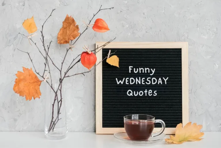 Funny Wednesday quotes