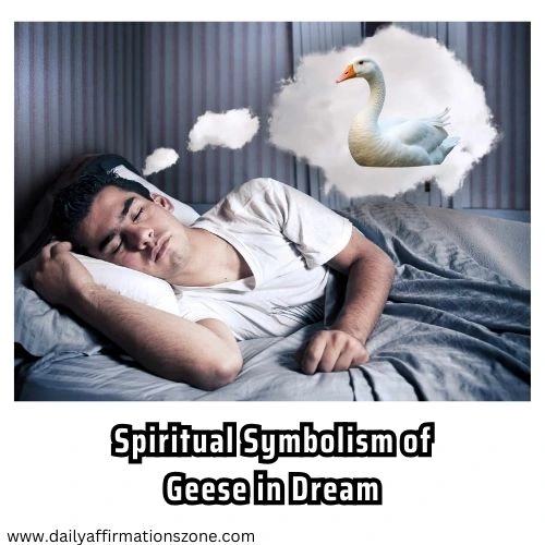 Spiritual meaning of Geese