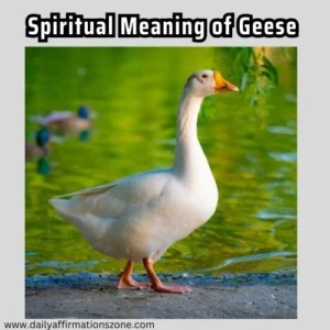 spiritual meaning of geese