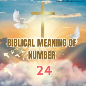 the number 24