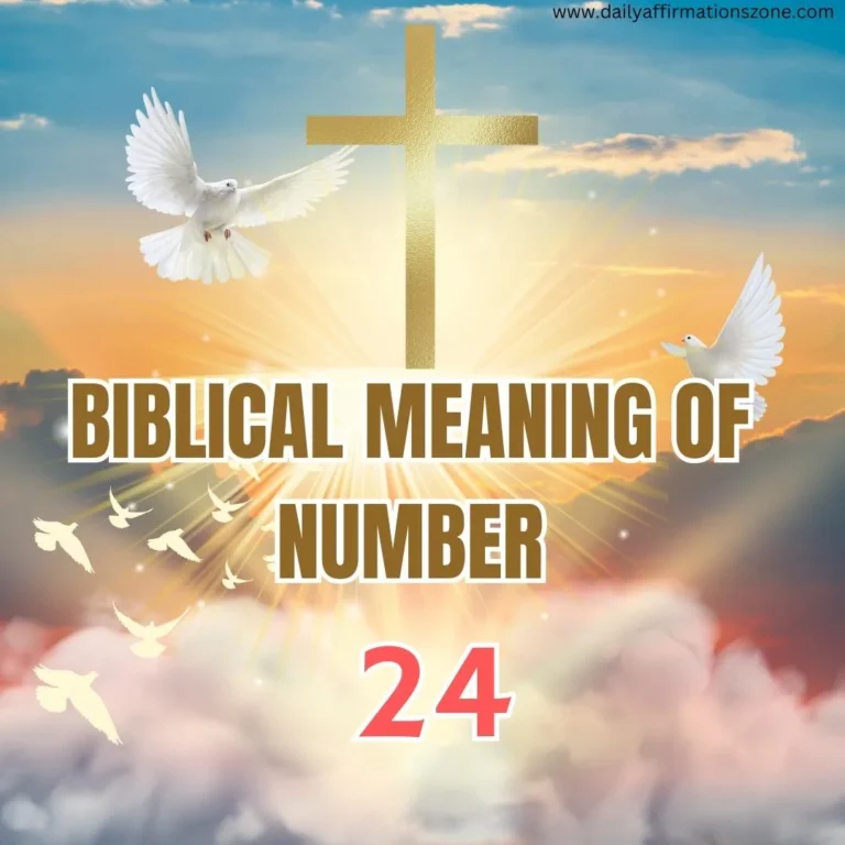 the number 24